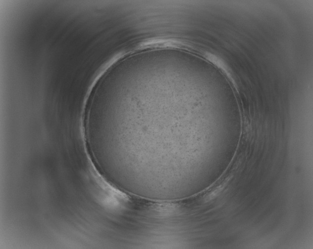 X0000074291090200608251338