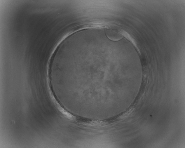 X0000074291091200608251338