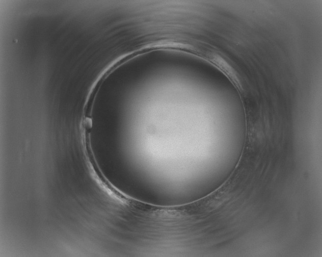 X0000074291092200608251338