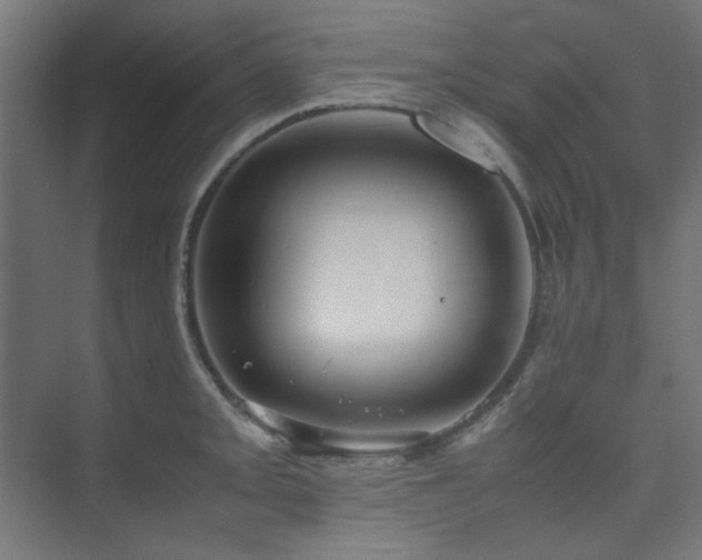 X0000074291093200608251338