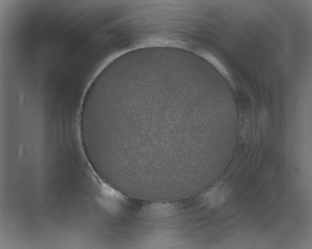 X0000074291094200608251338