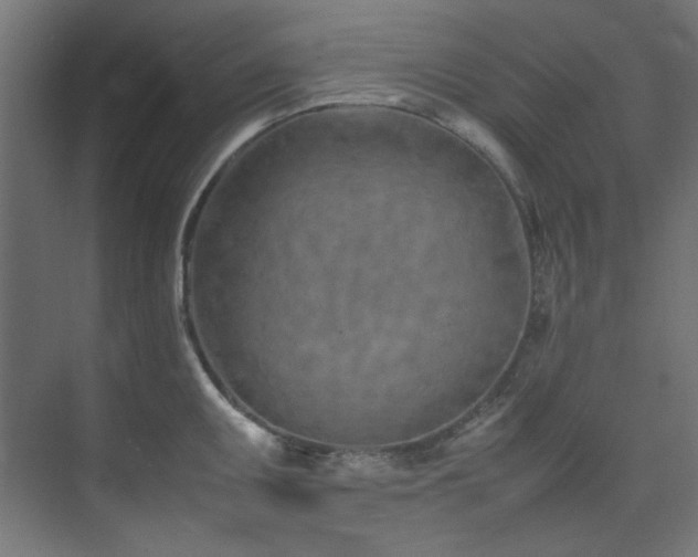 X0000074291095200608251338