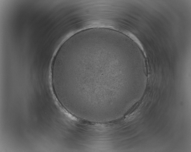 X0000074291096200608251338