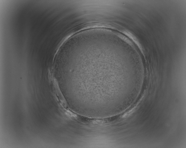 X0000074291097200608251338