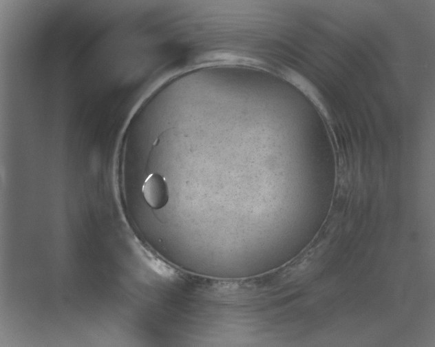 X0000074291098200608251338