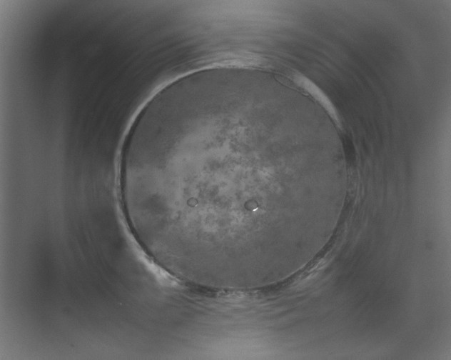 X0000074291099200608251338