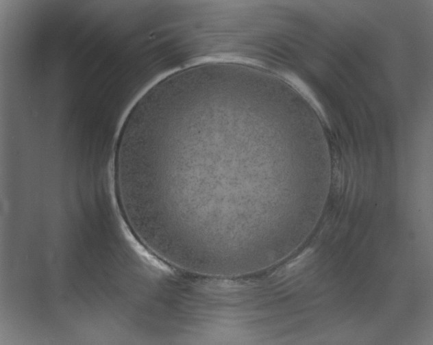 X0000074291100200608251338