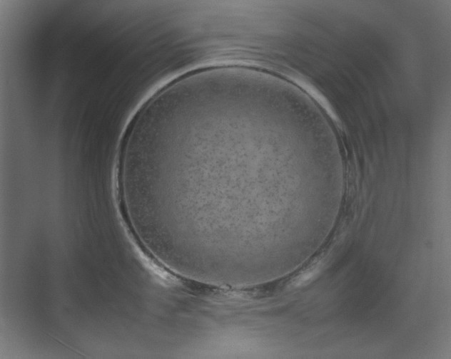 X0000074291101200608251338