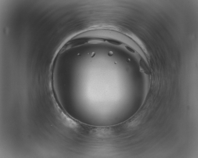 X0000074291102200608251338