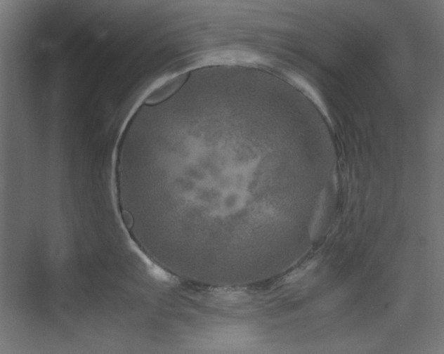 X0000074291103200608251338