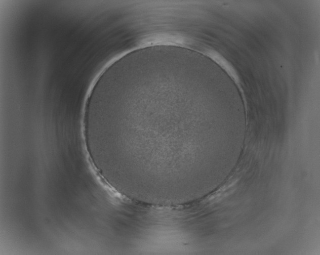 X0000074291104200608251338