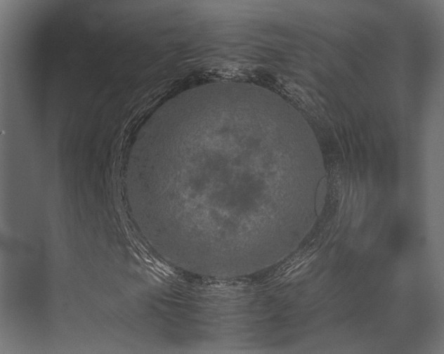 X0000074291105200608251337