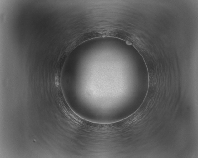 X0000074291106200608251337