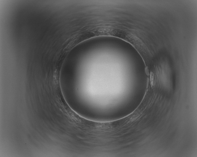 X0000074291107200608251337