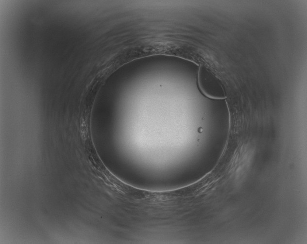 X0000074291109200608251337