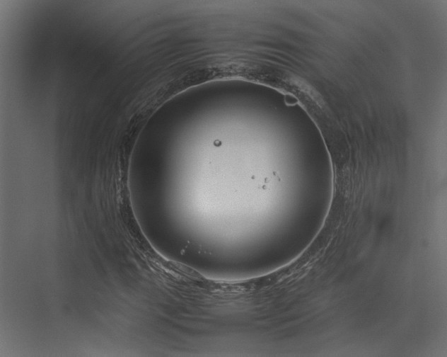 X0000074291111200608251337