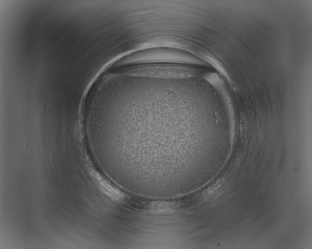 X0000074291116200608251337