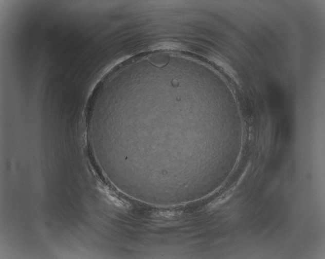 X0000074291117200608251337