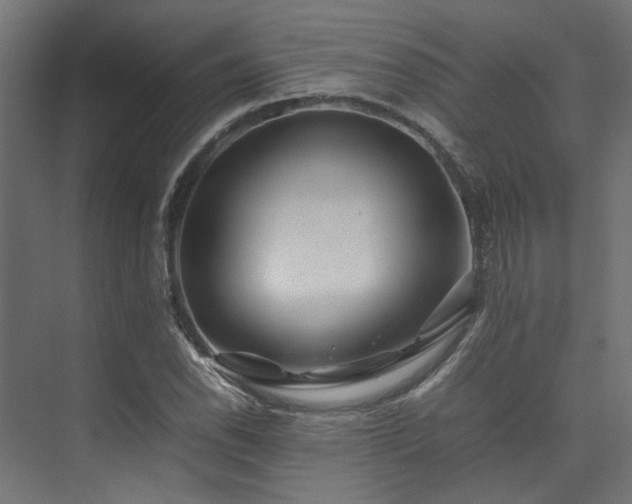 X0000074291118200608251337