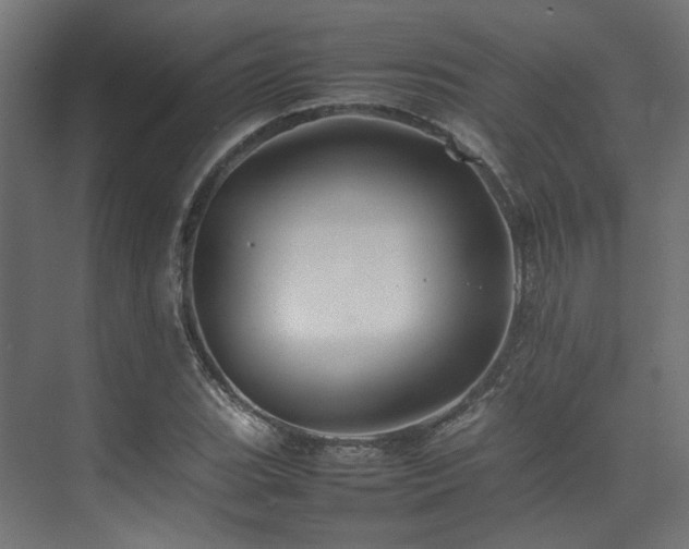 X0000074291119200608251337