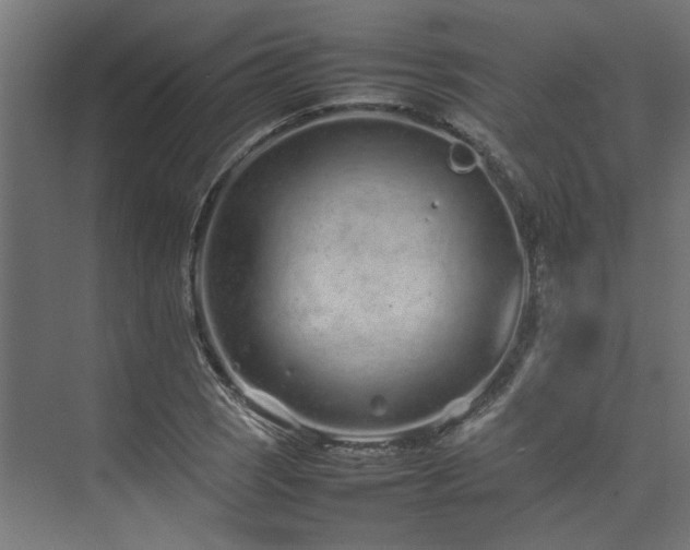 X0000074291121200608251337