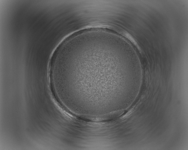 X0000074291124200608251337