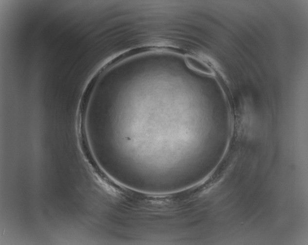 X0000074291125200608251337