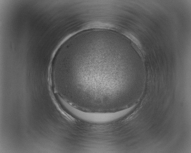 X0000074291128200608251337