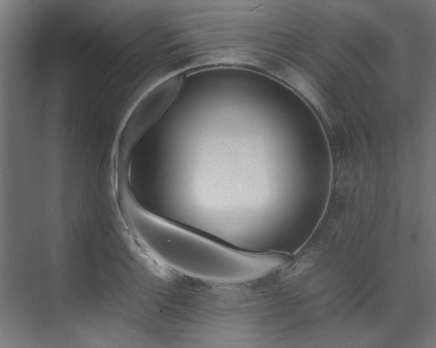 X0000074291132200608251337