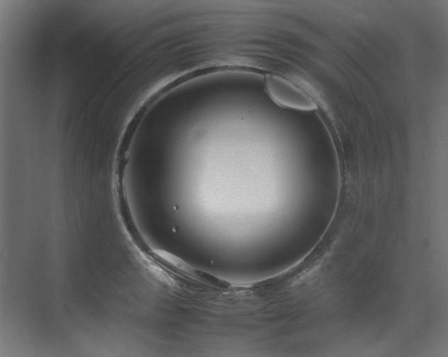 X0000074291133200608251337