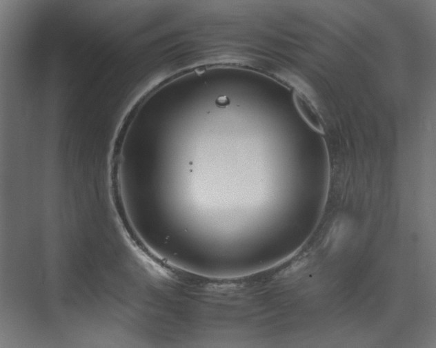 X0000074291135200608251337