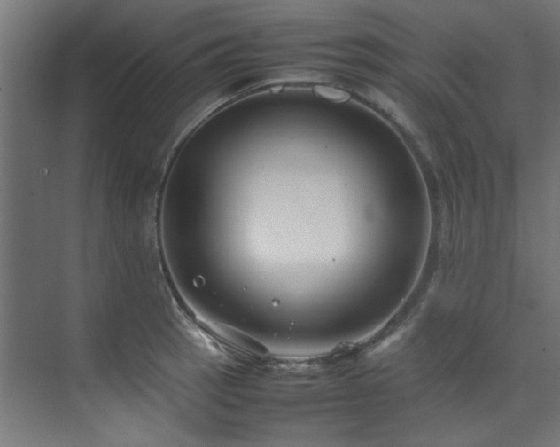 X0000074291137200608251337