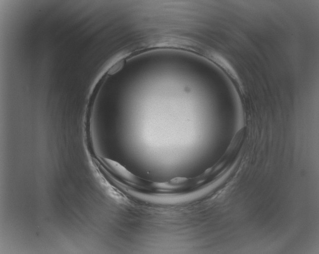 X0000074291138200608251337