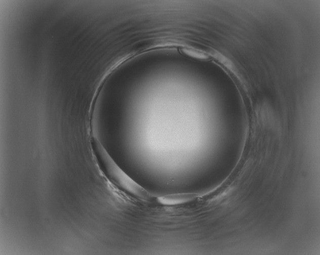 X0000074291145200608251337