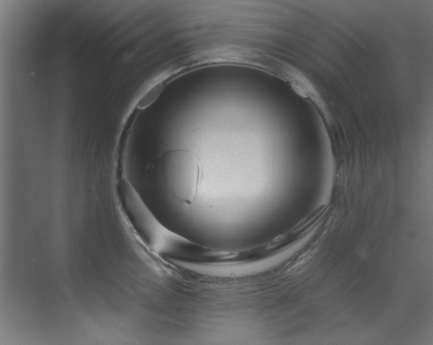 X0000074291146200608251338