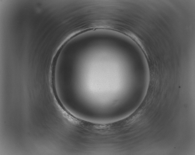 X0000074291147200608251338