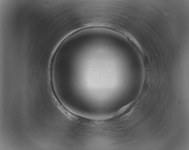 X0000074291148200608251338