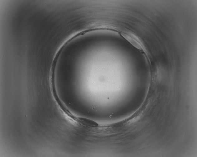 X0000074291149200608251338