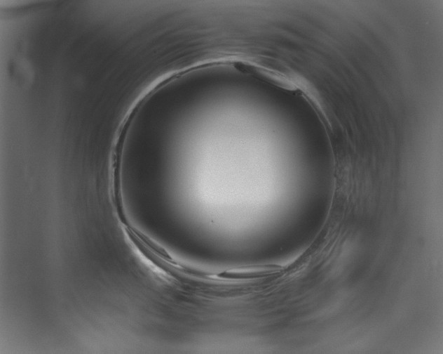 X0000074291151200608251338