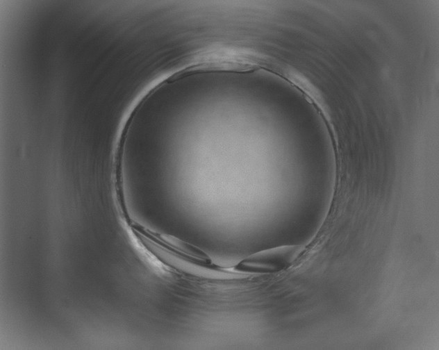 X0000074291152200608251338