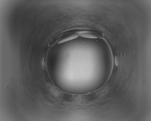 X0000074291155200608251337