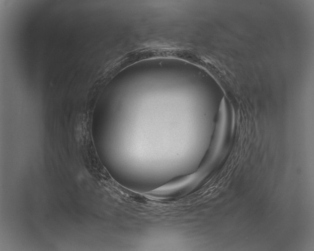 X0000074291157200608251337