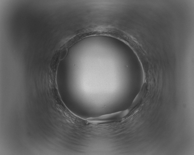 X0000074291158200608251337