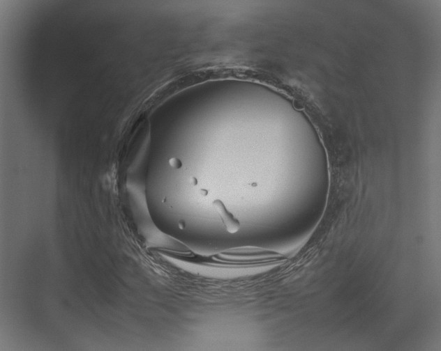 X0000074291159200608251337