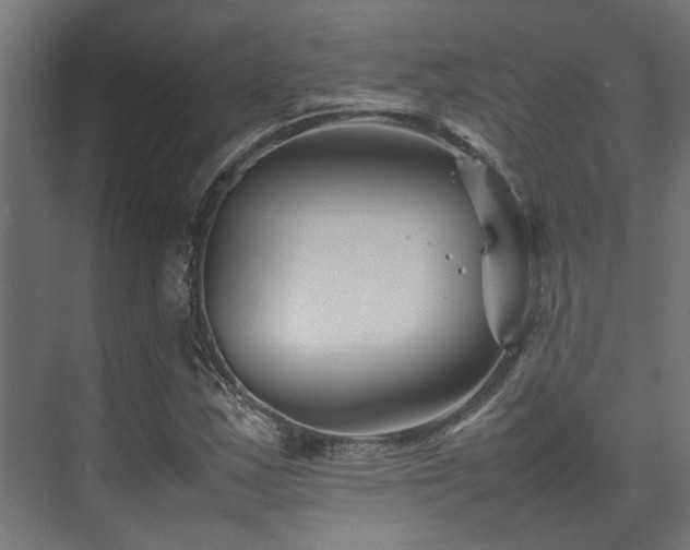 X0000074291163200608251337