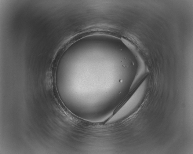 X0000074291164200608251337