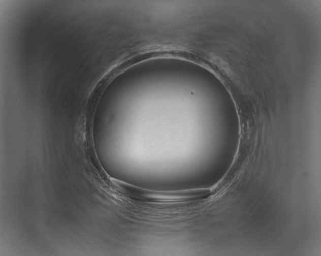 X0000074291165200608251337