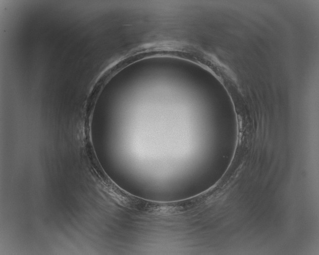 X0000074291166200608251337