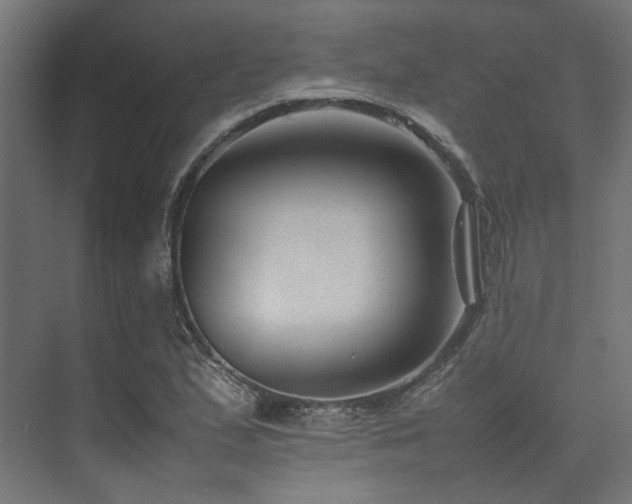 X0000074291167200608251337