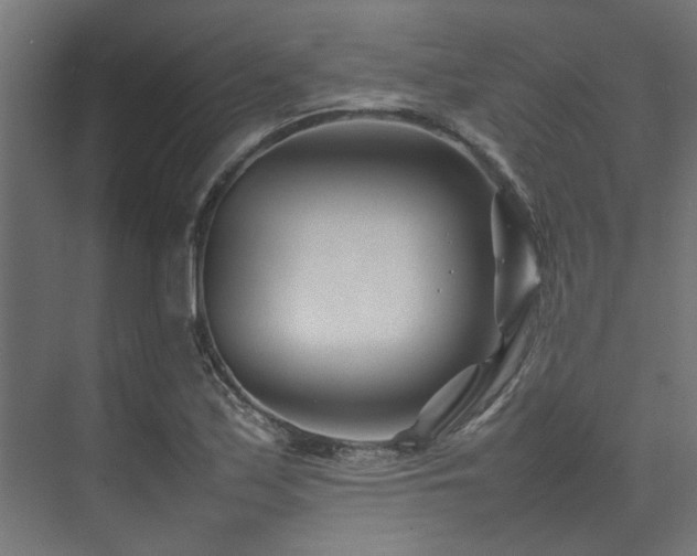 X0000074291171200608251337